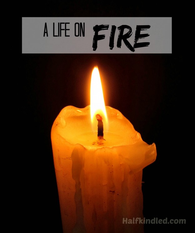 A Life on Fire
